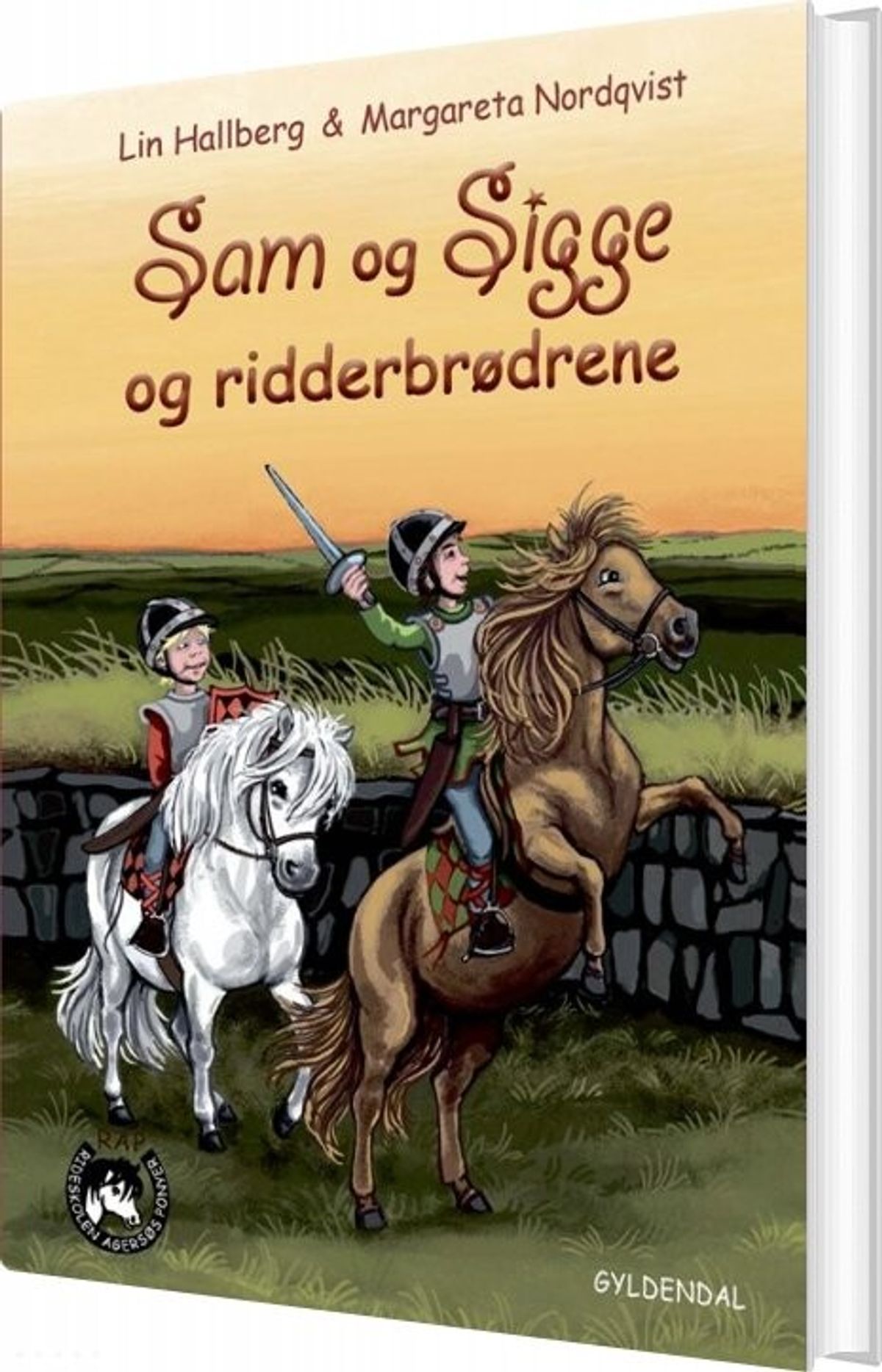 Sam Og Sigge 3 - Sam Og Sigge Og Ridderbrødrene - Lin Hallberg - Bog