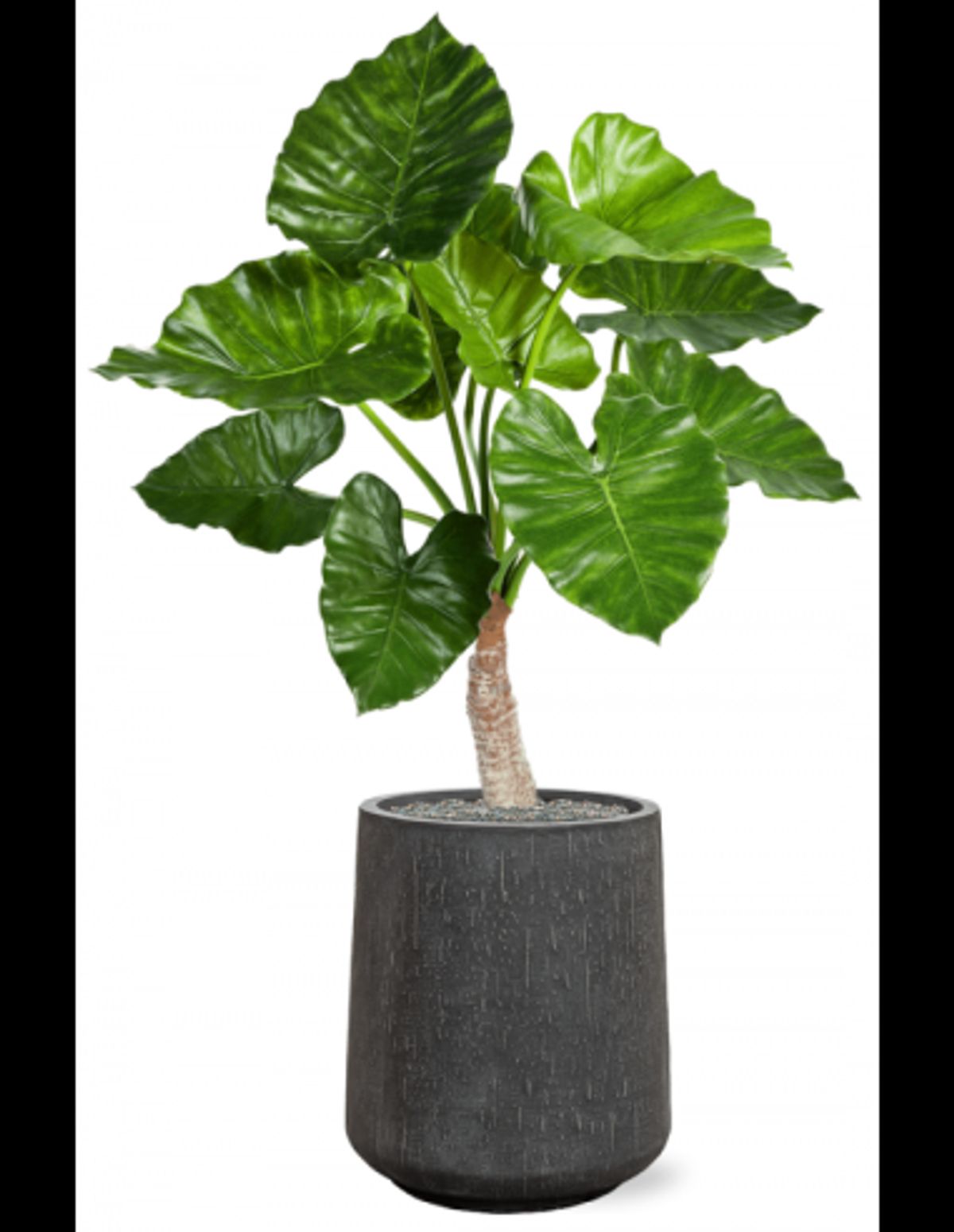 Sammenplantning med krukke og kunstig Alocasia Calidora plante H119 cm