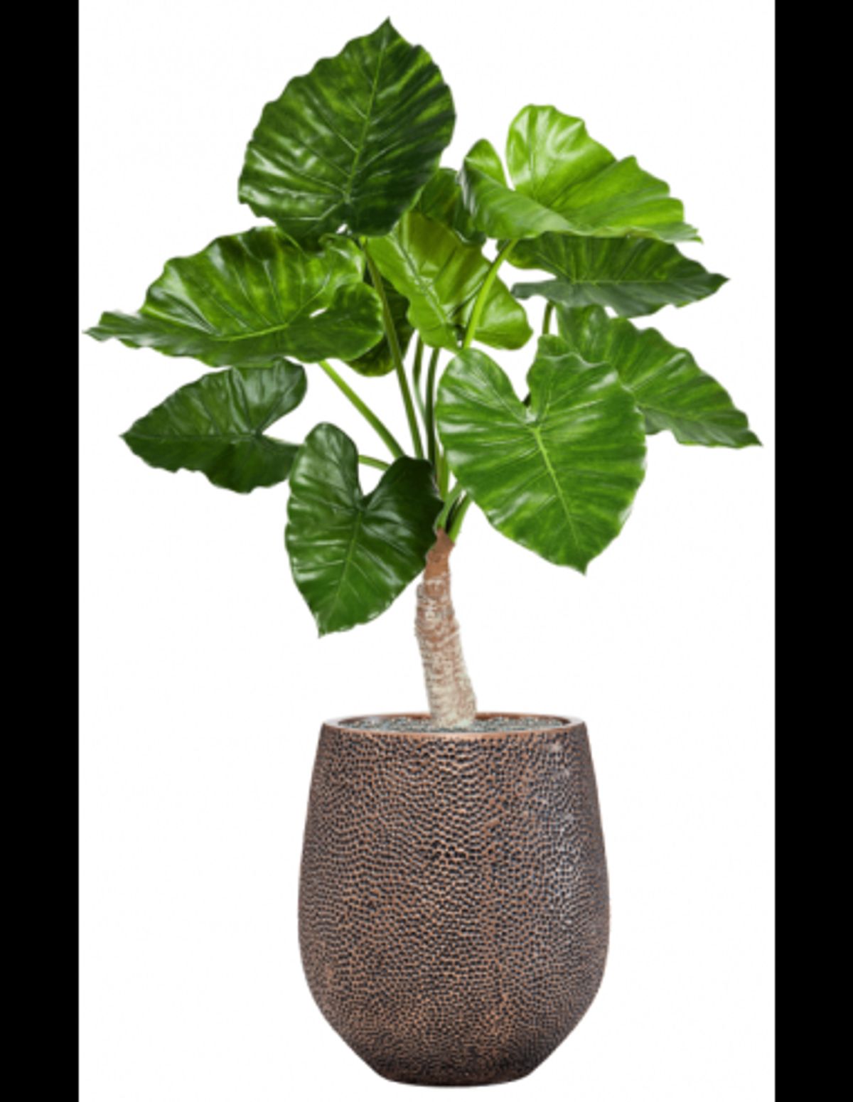 Sammenplantning med krukke og kunstig Alocasia Calidora plante H120 cm