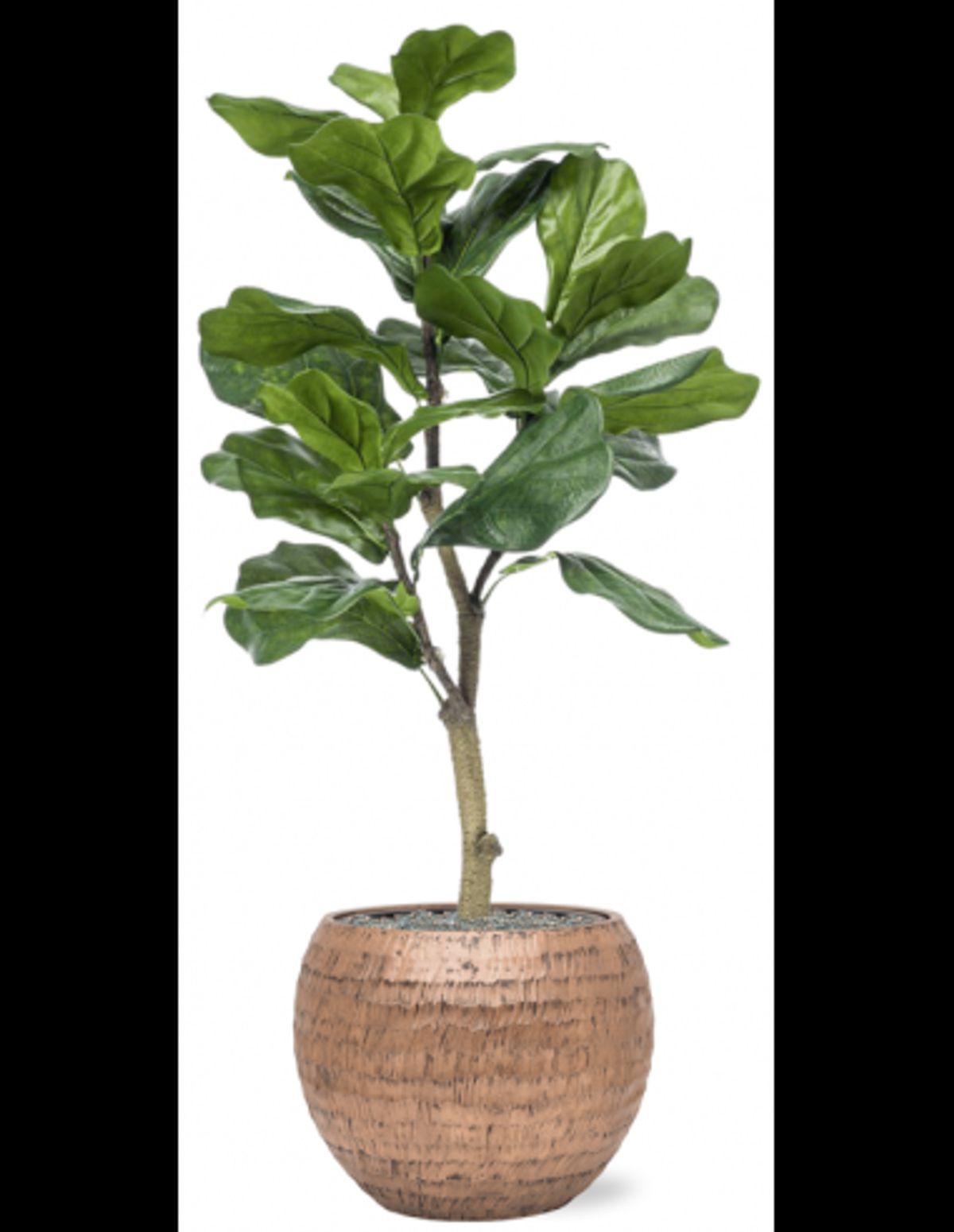 Sammenplantning med krukke og kunstig Ficus Lyrata plante H120 cm