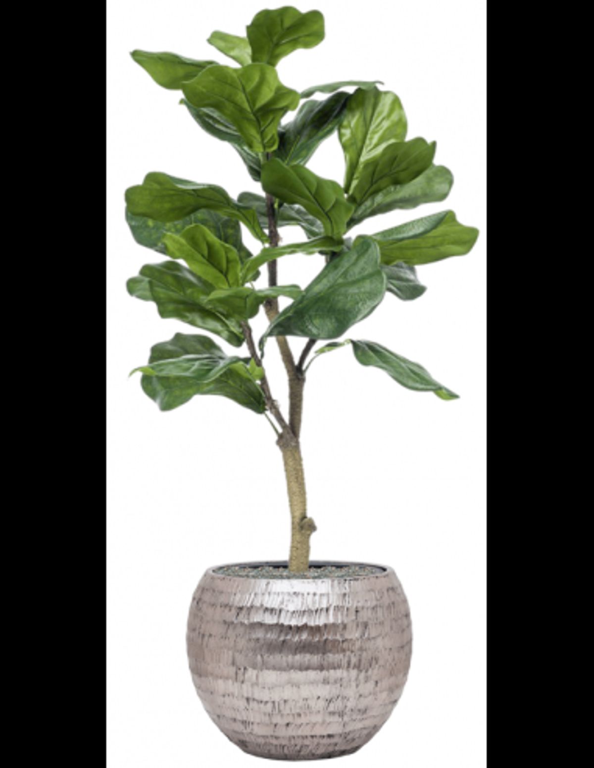 Sammenplantning med krukke og kunstig Ficus Lyrata plante H120 cm