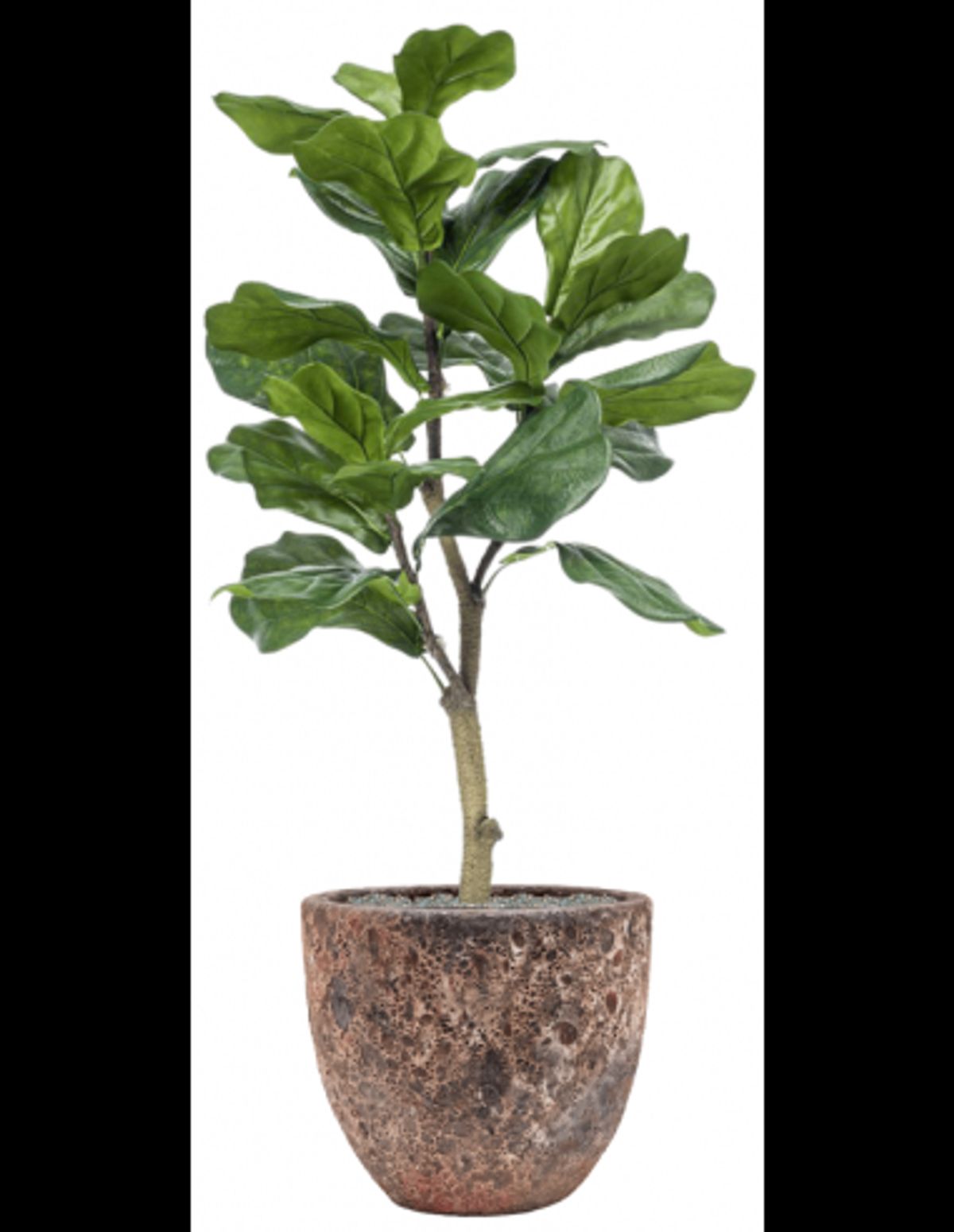 Sammenplantning med krukke og kunstig Ficus Lyrata plante H122 cm