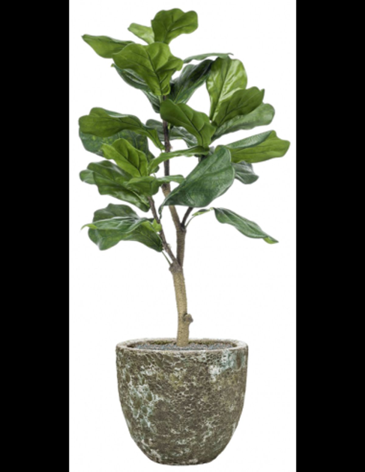 Sammenplantning med krukke og kunstig Ficus Lyrata plante H122 cm