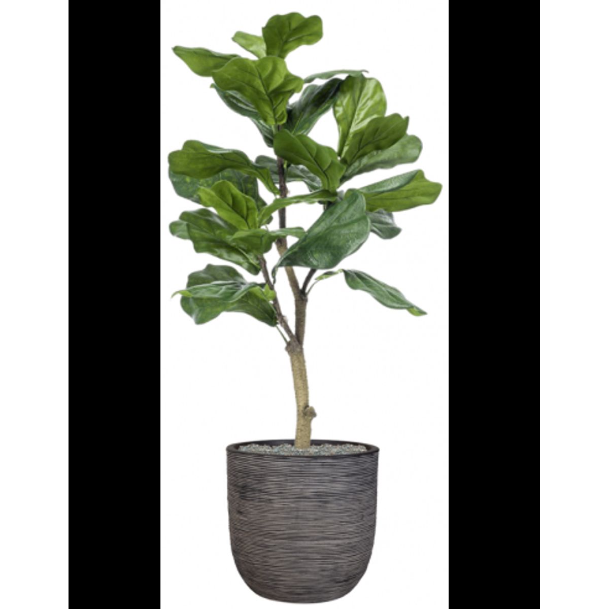 Sammenplantning med krukke og kunstig Ficus Lyrata plante H122 cm