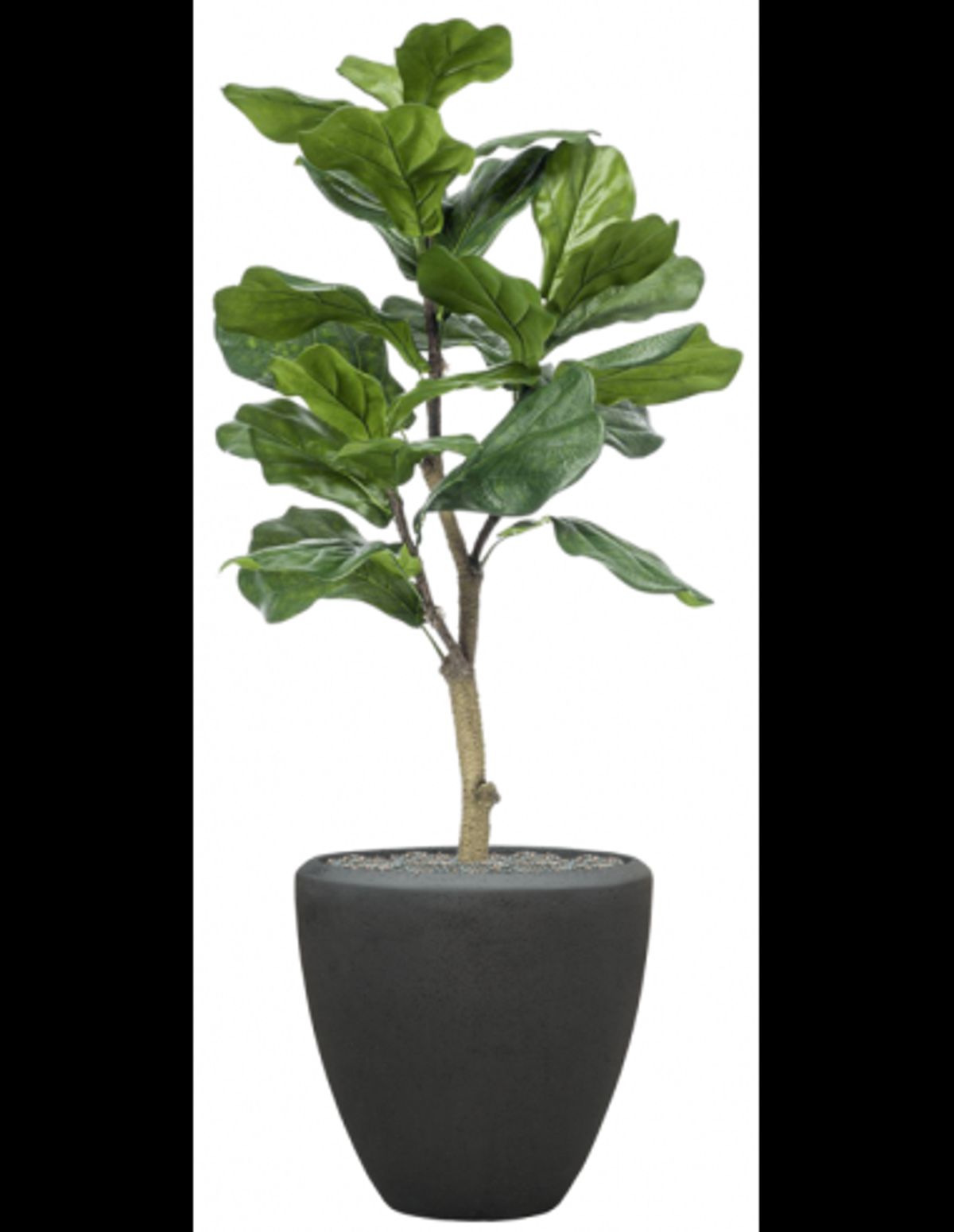 Sammenplantning med krukke og kunstig Ficus Lyrata plante H128 cm