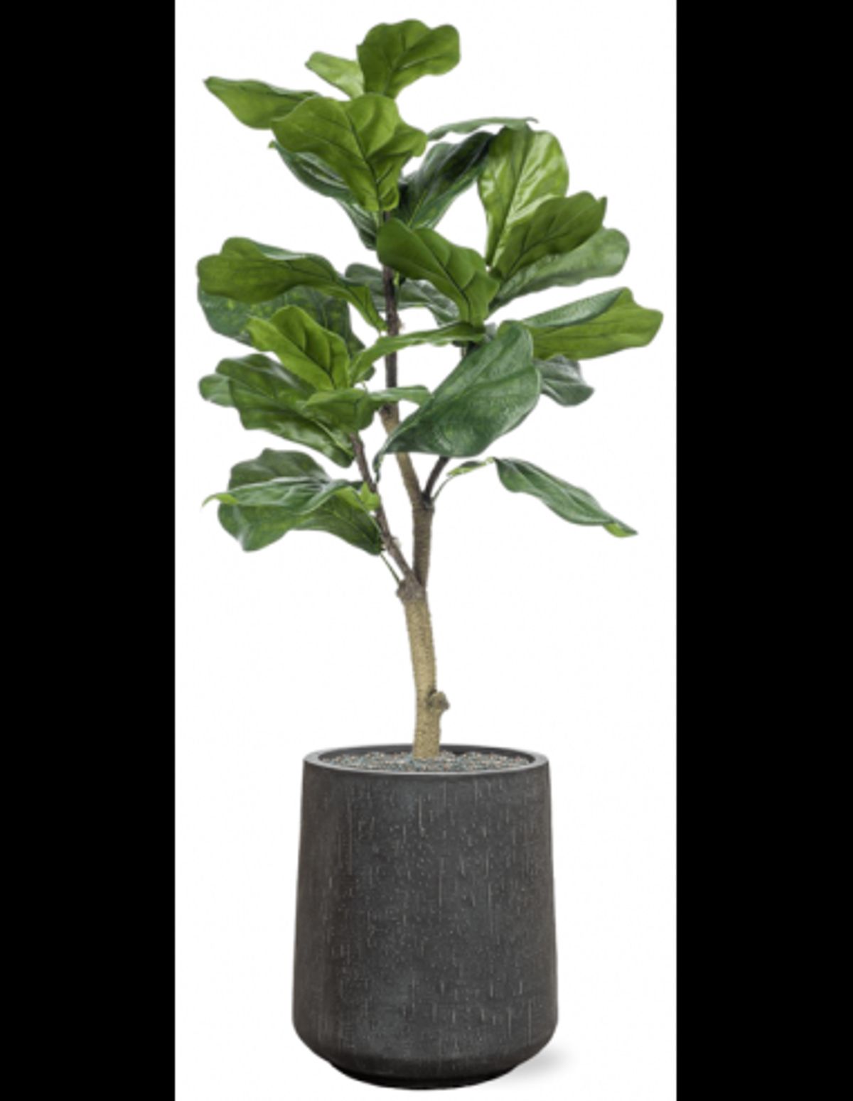 Sammenplantning med krukke og kunstig Ficus Lyrata plante H129 cm