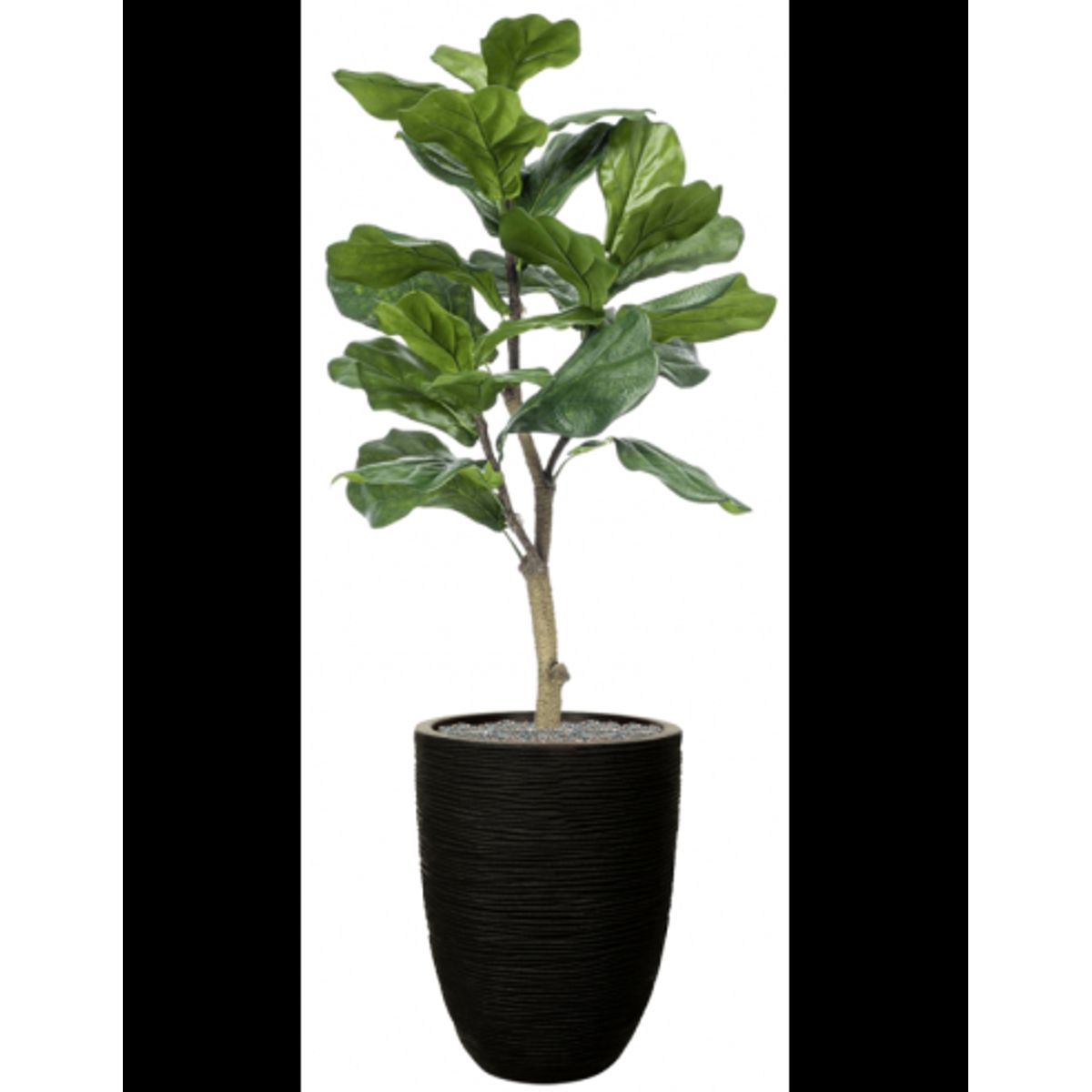 Sammenplantning med krukke og kunstig Ficus Lyrata plante H134 cm