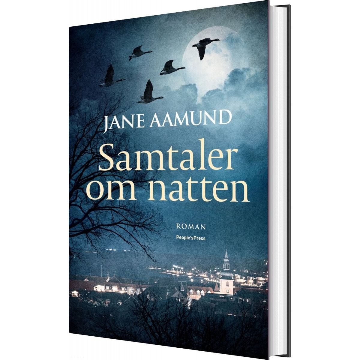 Samtaler Om Natten - Jane Aamund - Bog