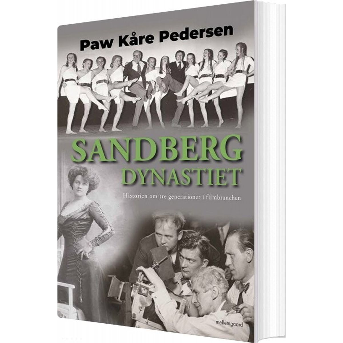 Sandberg-dynastiet - Paw Kåre Pedersen - Bog