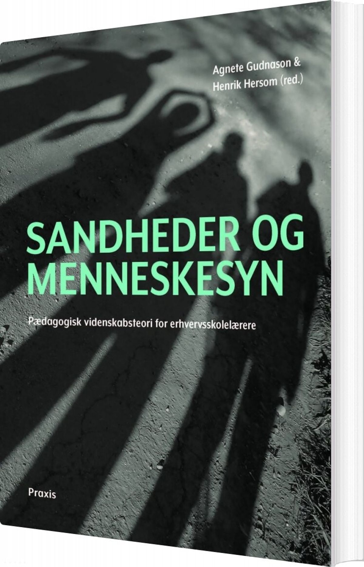 Sandheder Og Menneskesyn - Agnete Gudnason - Bog