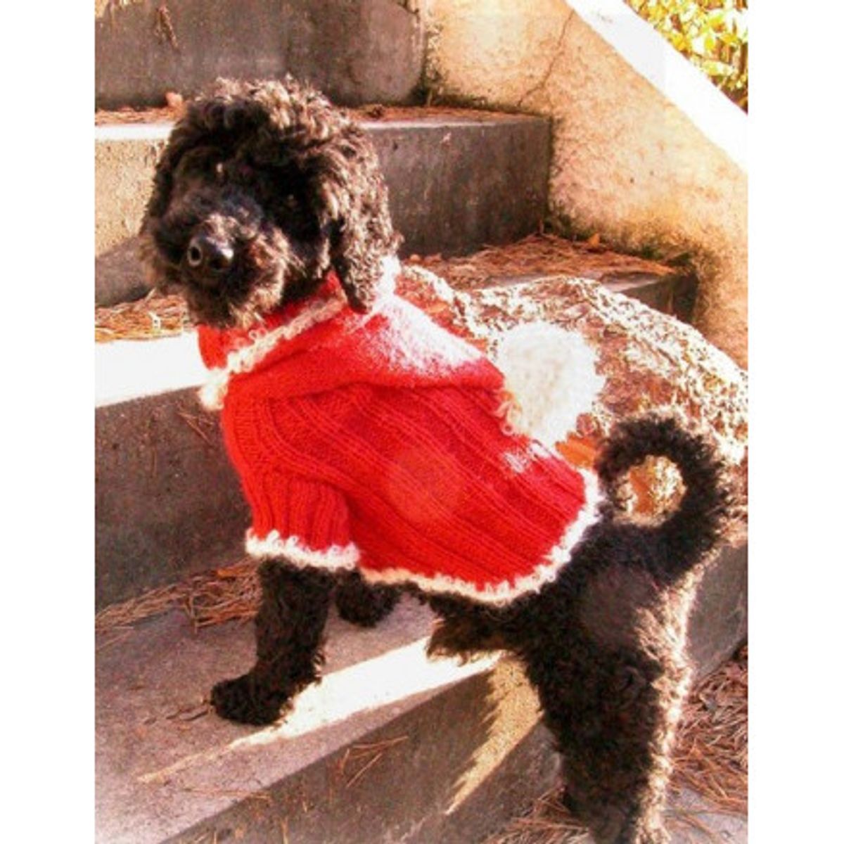 Santa Dog by DROPS Design - Hundebluse Strikkeopskrift str. XS - M - Medium