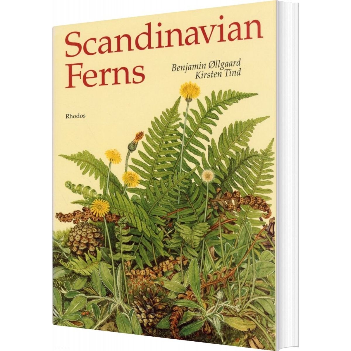 Scandinavian Ferns - Benjamin øllgaard - English Book