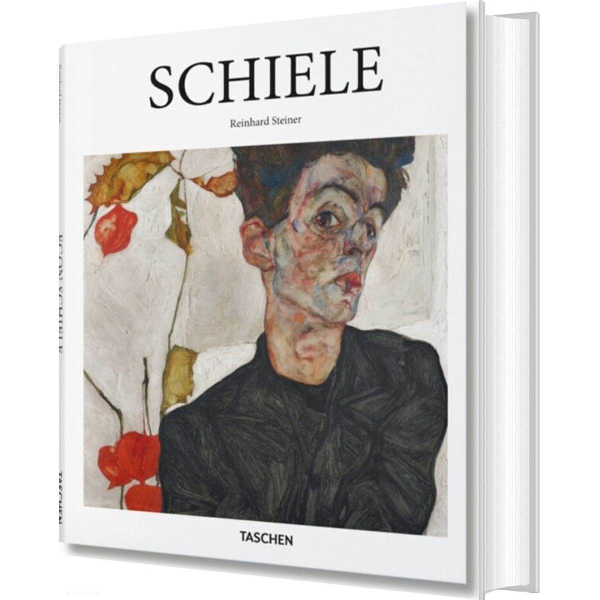 Schiele - Taschen Basic Art Series - Reinhard Steiner - English Book