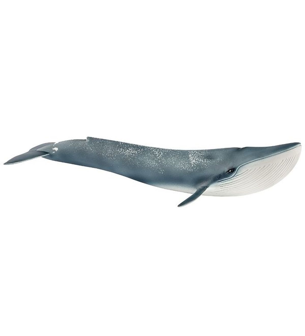 Schleich Dyr - Blåhval - L: 27 cm 14806