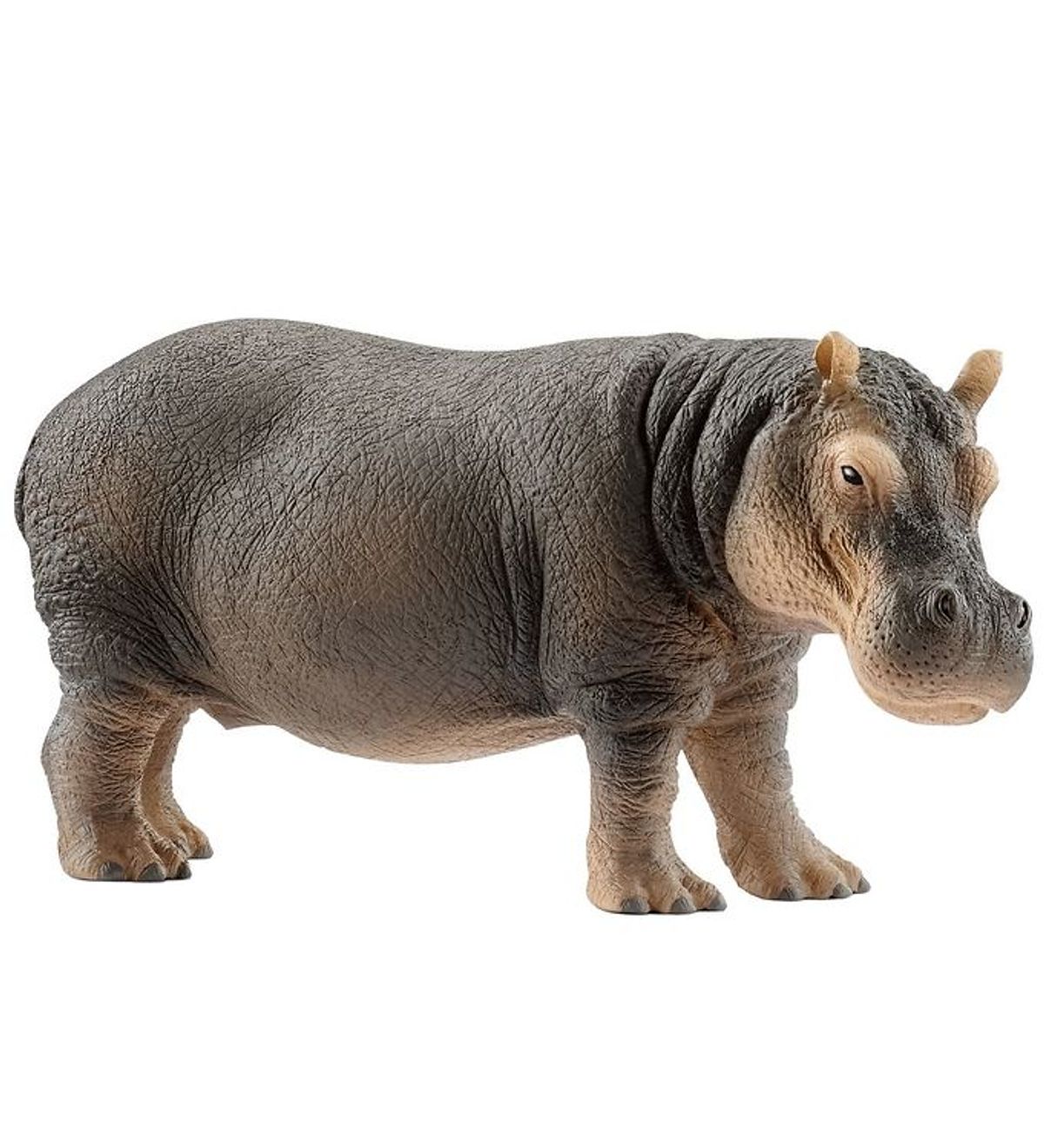 Schleich Dyr - Flodhest - L: 13 cm 14814