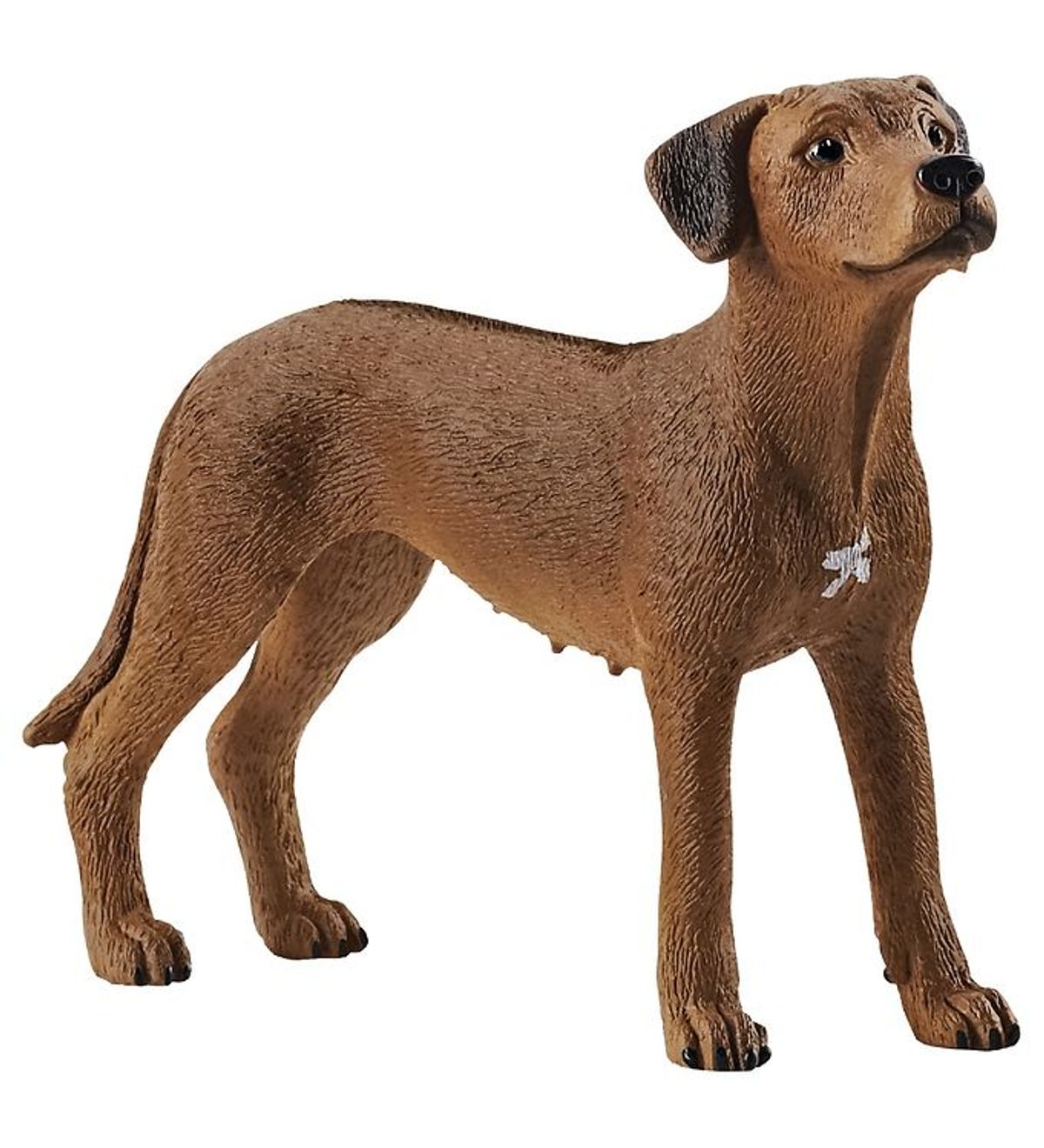 Schleich Dyr - H:6 cm - Rhodesian Ridgeback 13895