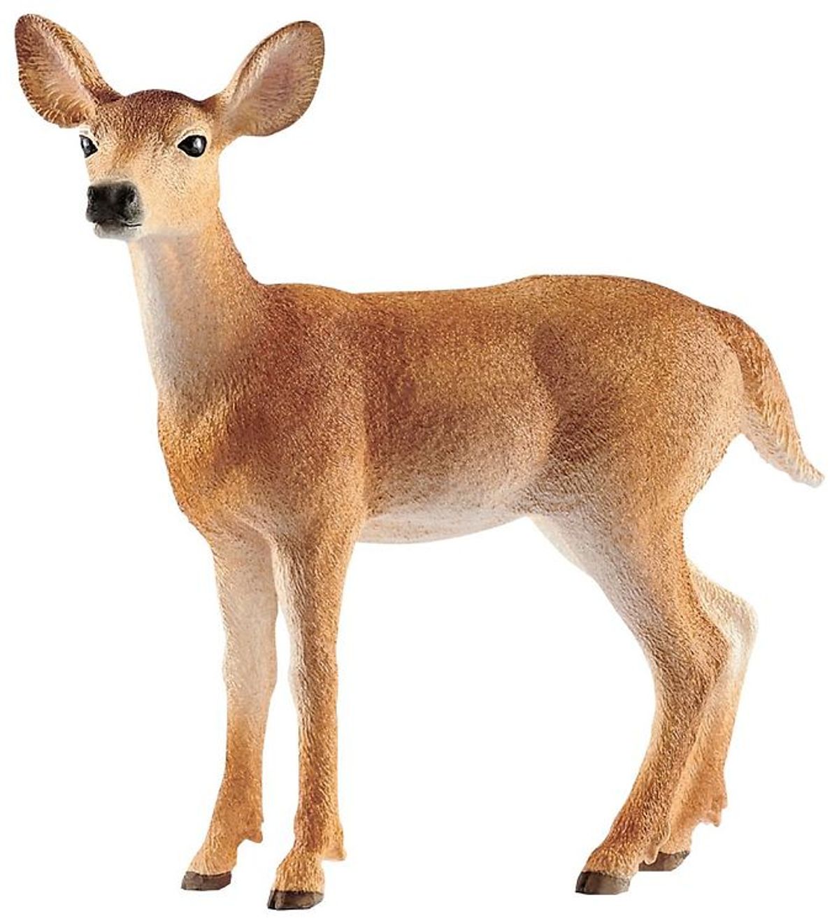 Schleich Dyr - Virginiahjort Hind - H: 8 cm 14819