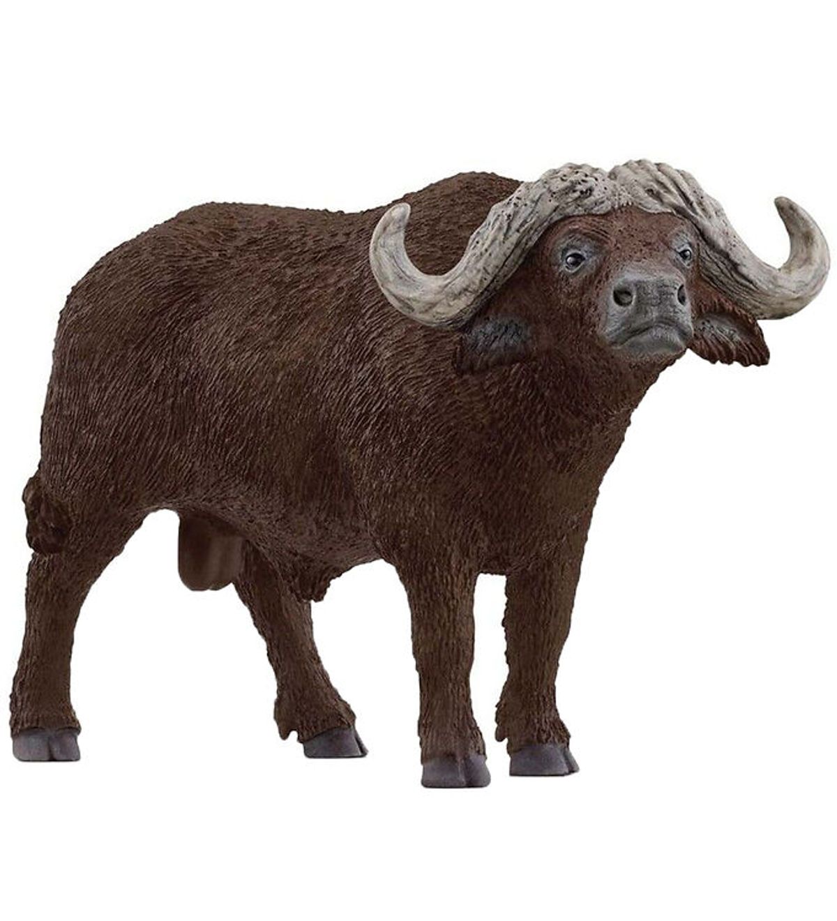 Schleich Wild Life - Afrikansk bøffel - L: 13 cm - 14872