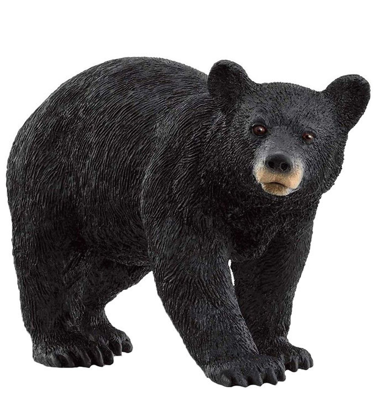 Schleich Wild Life - Amerikansk Sortbjørn - H: 11,8 cm - 14869