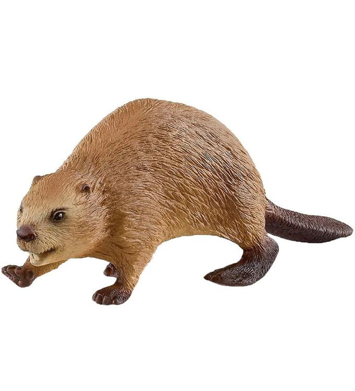 Schleich Wild Life - Bæver - H: 3,5 cm 14849