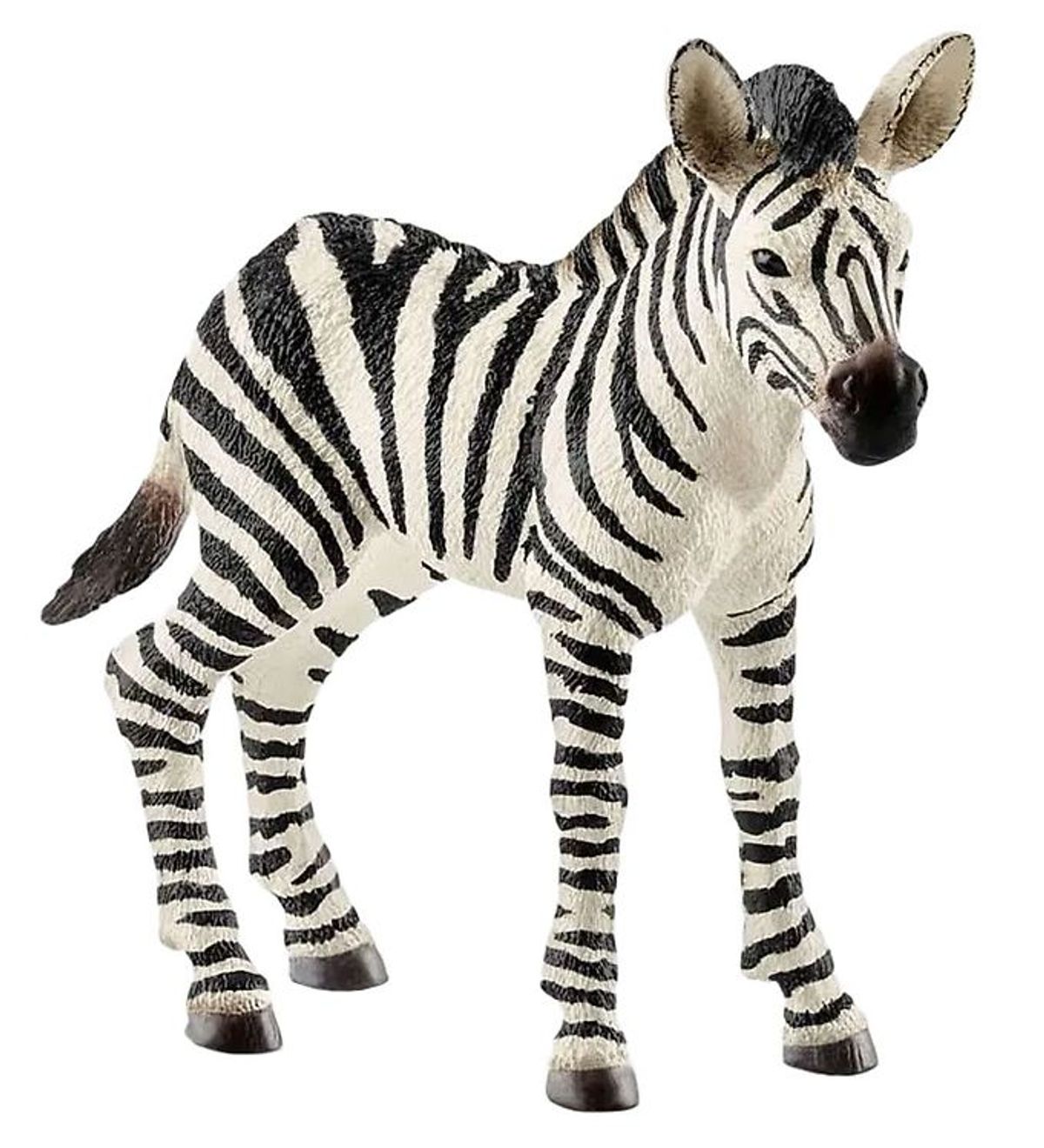 Schleich Wild Life - H: 7 cm - Zebra Føl 14811