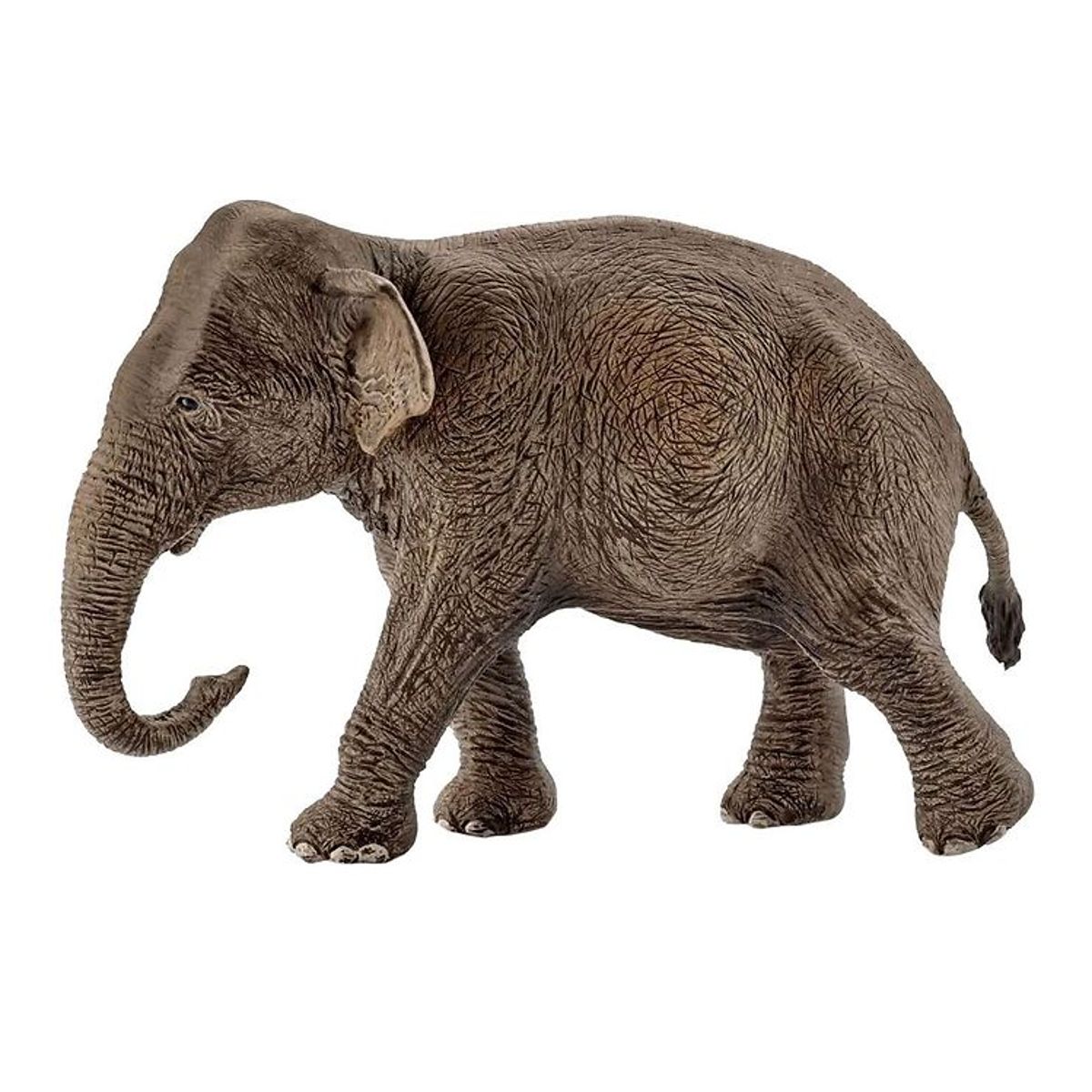 Schleich Wild Life - H: 8,5 cm - Asiatisk Elefant 14753