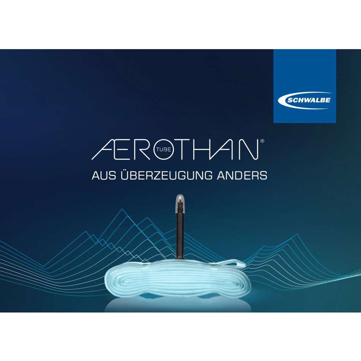 Schwalbe Aerothan - Slange 29" (54/62-622) - Med 40mm lang Racerventil SV19E