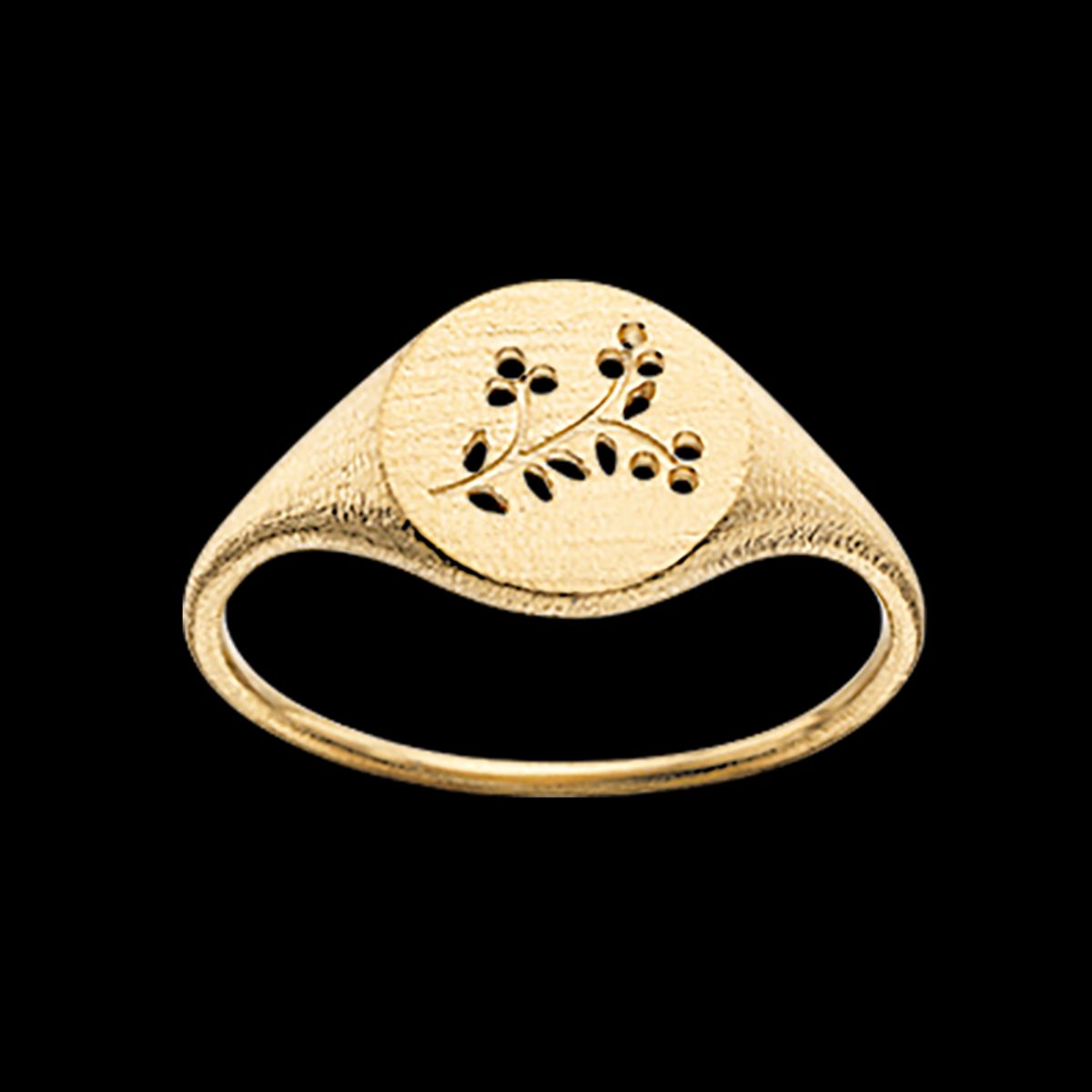 Scrouples Primavera Signet 14 Karat Guld Ring 710735