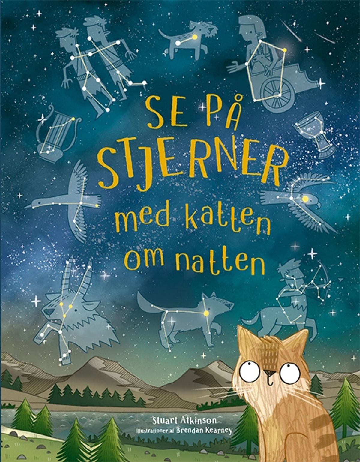 Se på stjerner med katten om natten