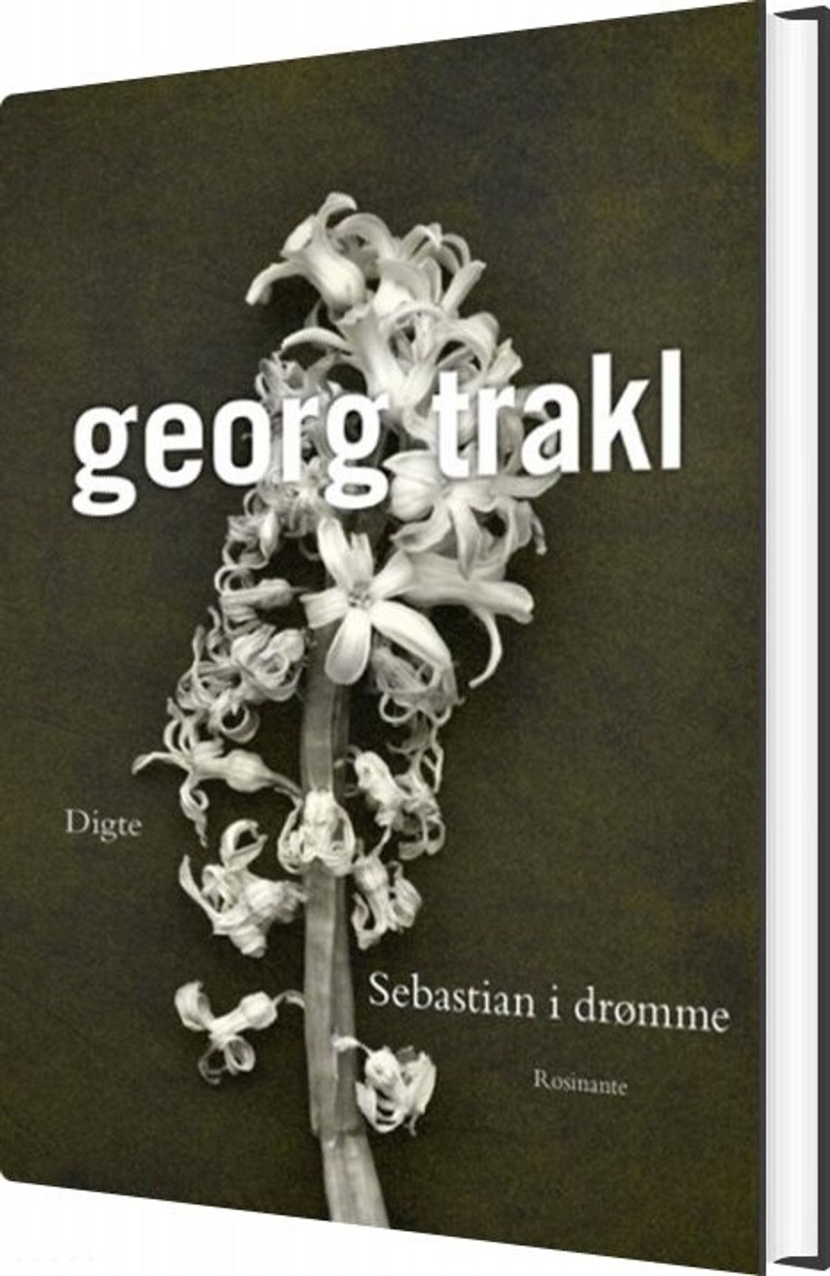 Sebastian I Drømme - Georg Trakl - Bog