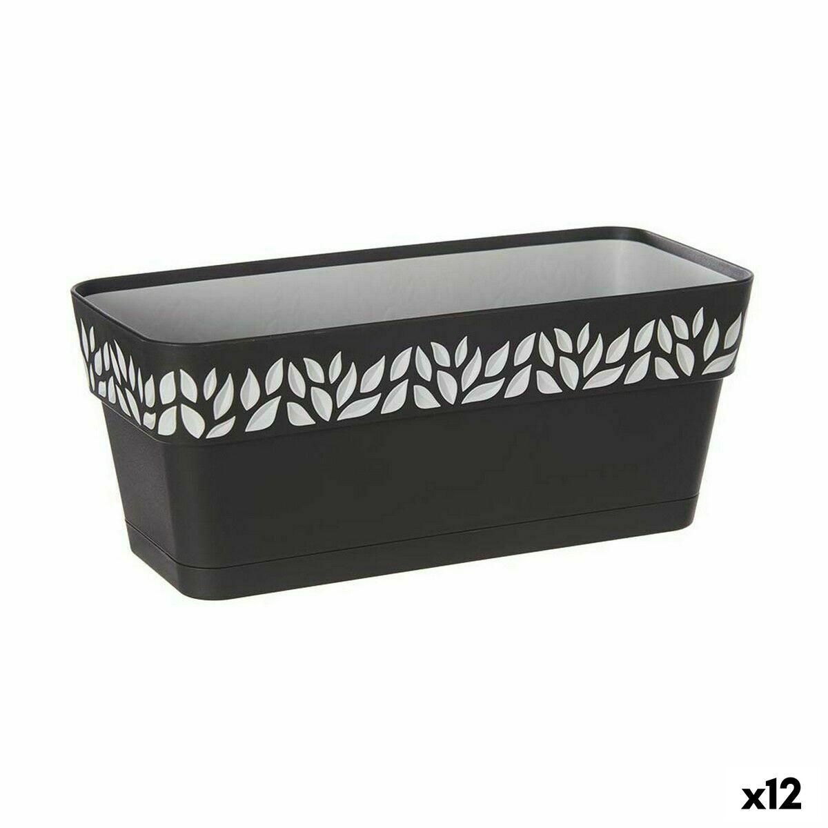 Selvvandende planter Stefanplast Cloe Antracit Plastik 13,3 x 12,3 x 29,3 cm (12 enheder)