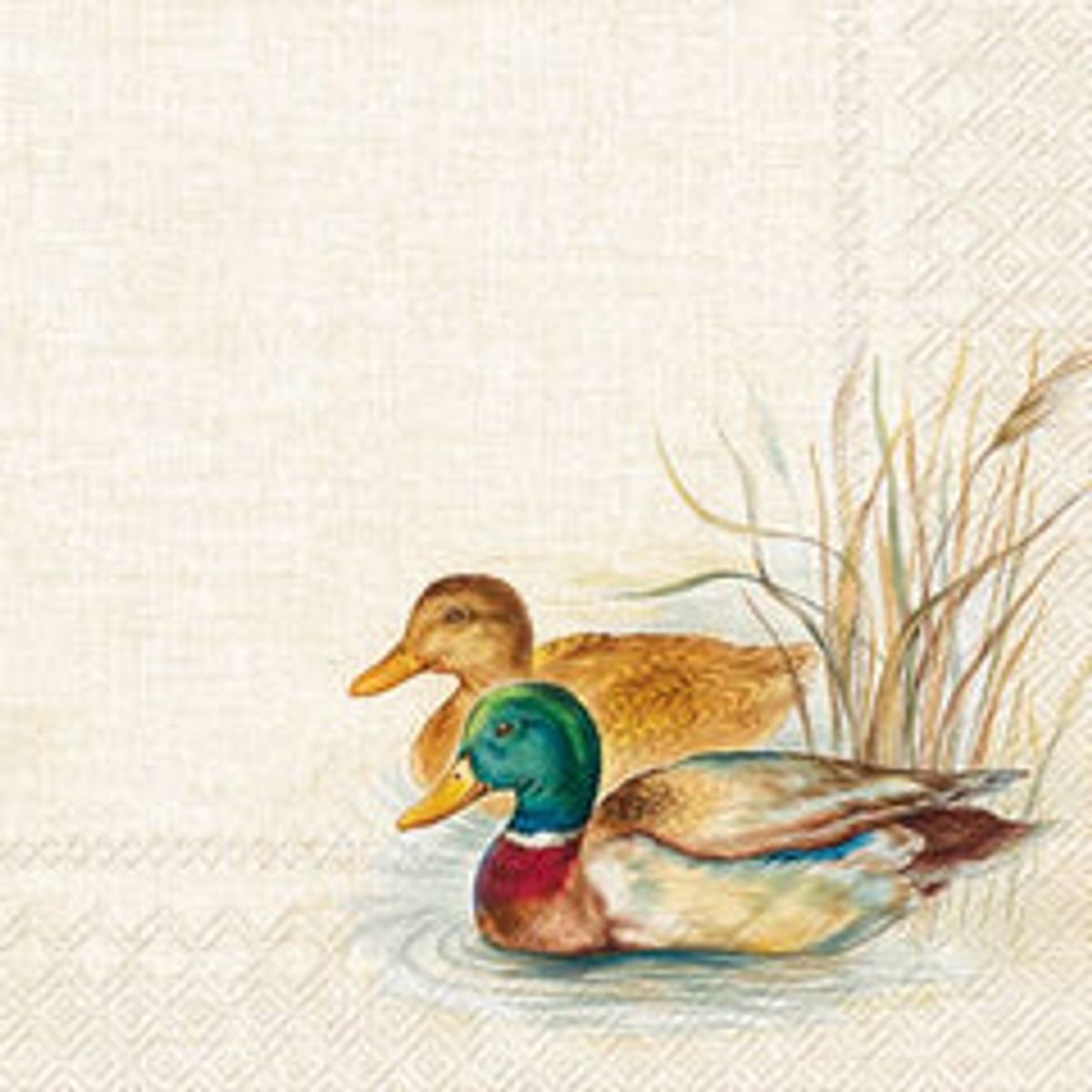 Servietter - Ducks