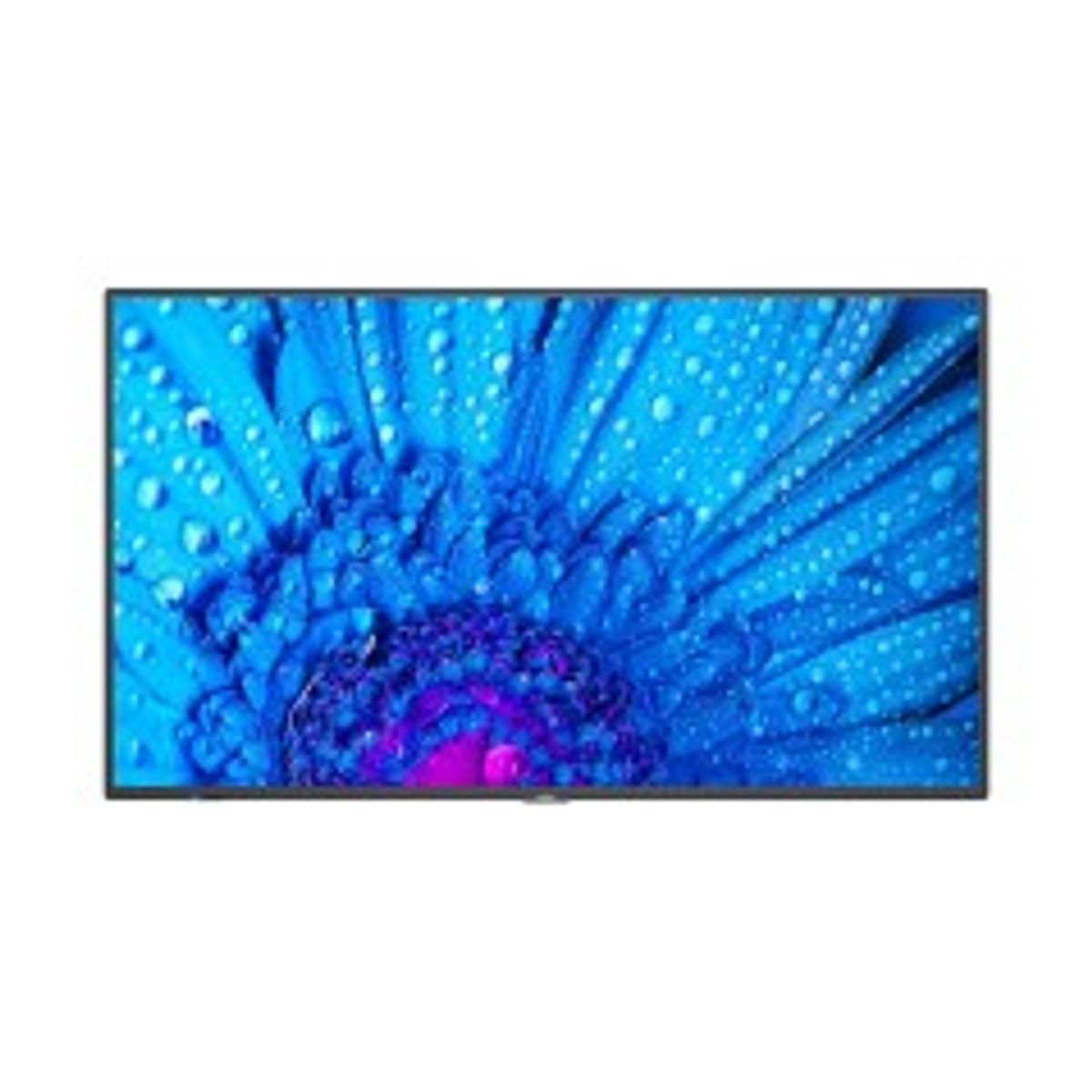 Sharp/NEC M981, 98" M Series LFD, UHD