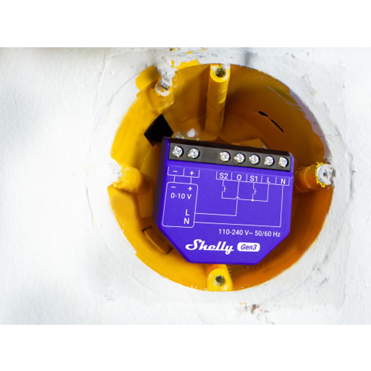 Shelly Dimmer 0/1-10V PM (GEN3), 0/1-10V styring