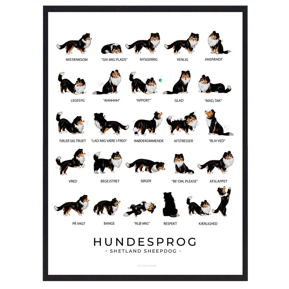 Shetland Sheepdog - Sort Hundesprog plakat (Størrelse: L - 50x70cm (B2))