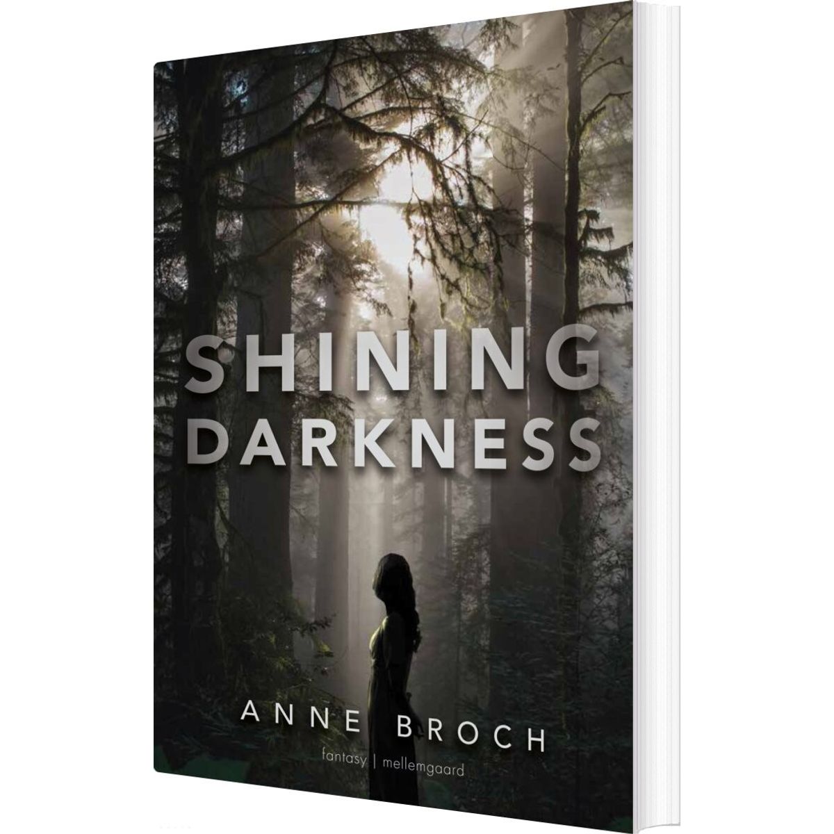 Shining Darkness - Anne Broch - English Book