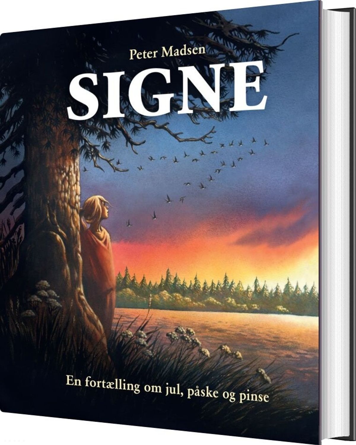 Signe - Peter Madsen - Bog