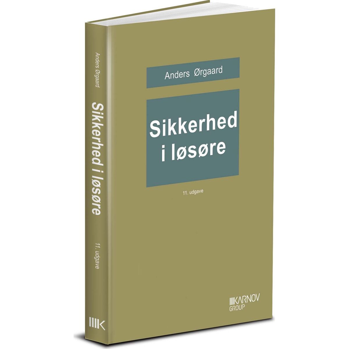 Sikkerhed I Løsøre - Anders ørgaard - Bog