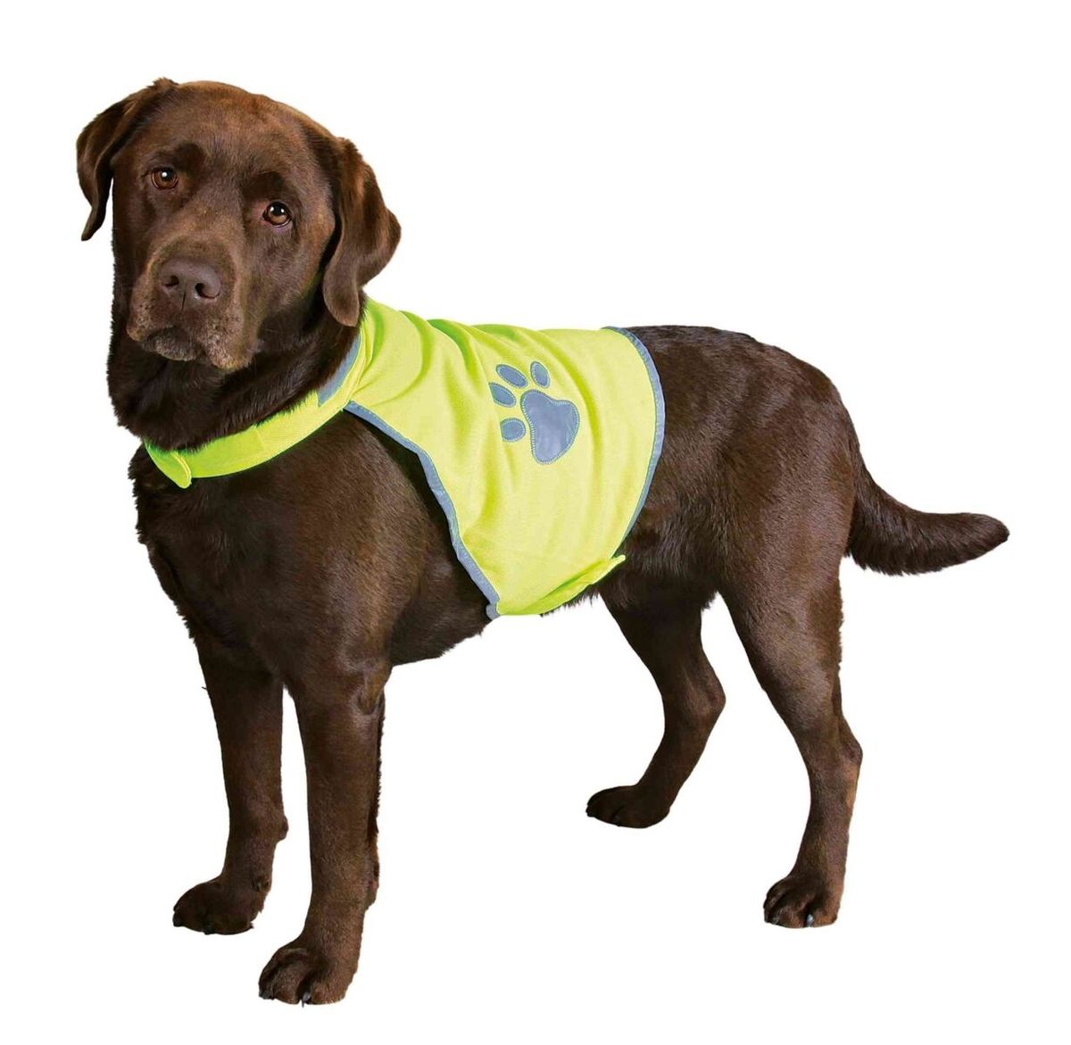 Sikkerhedsvest til hund, i neon grøn/gul med reflex.