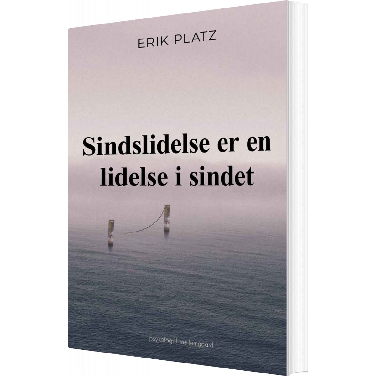 Sindslidelse Er En Lidelse I Sindet - Erik Platz - Bog