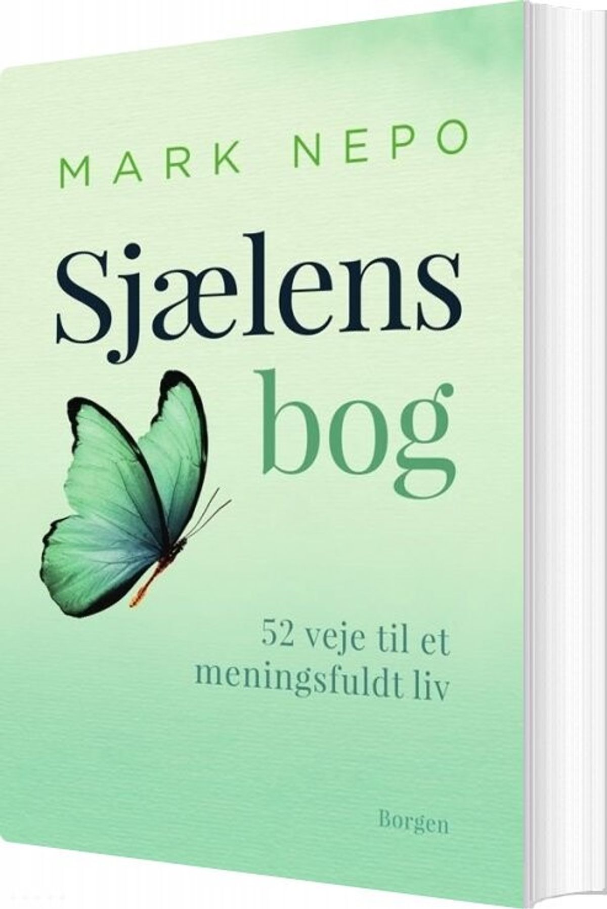 Sjælens Bog - Mark Nepo - Bog