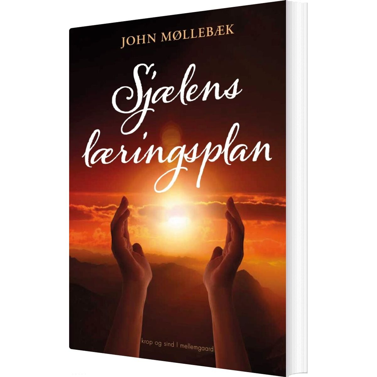 Sjælens Læringsplan - John Møllebæk - Bog