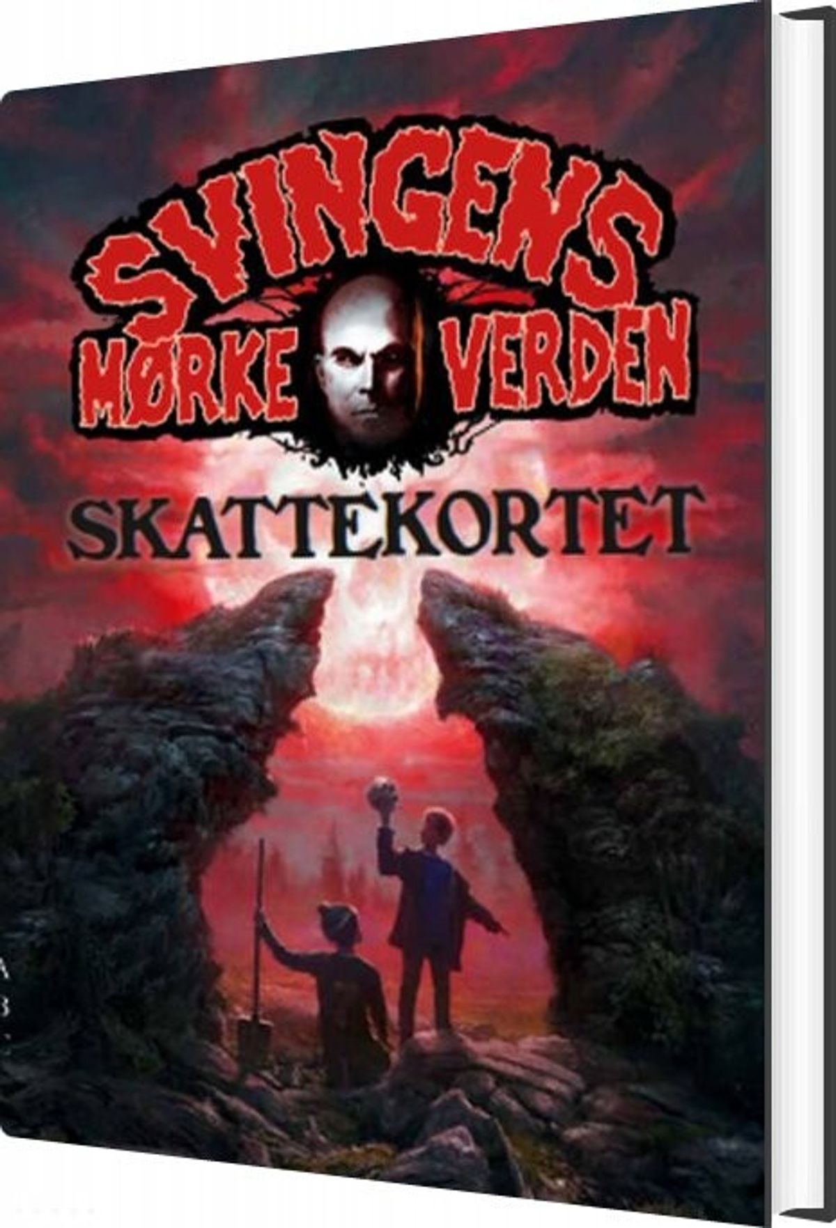 Skattekortet - Arne Svingen - Bog