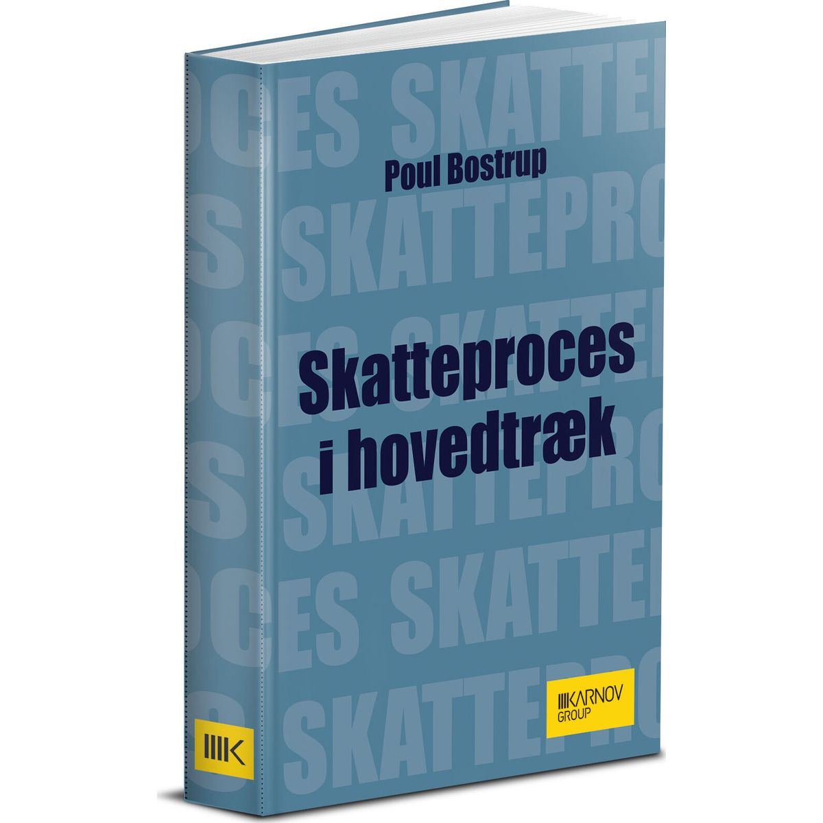 Skatteproces I En Nøddeskal - Poul Bostrup - Bog