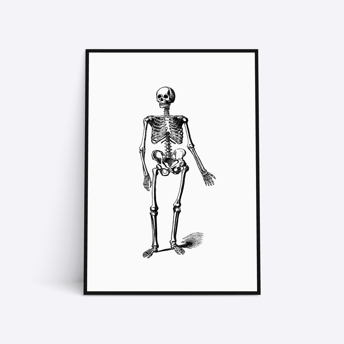 Skeleton - 50x70 cm