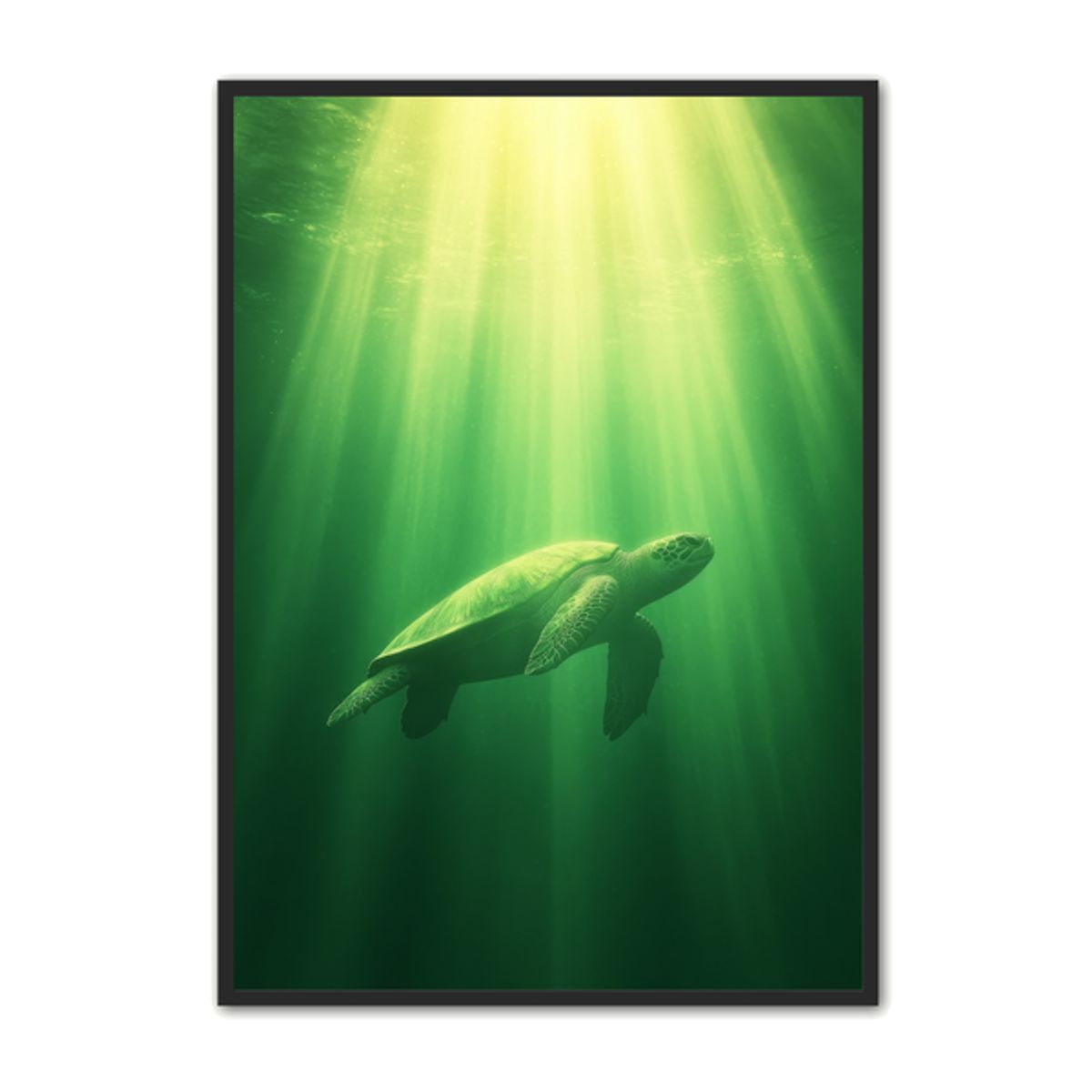 Skildpadde Plakat 20