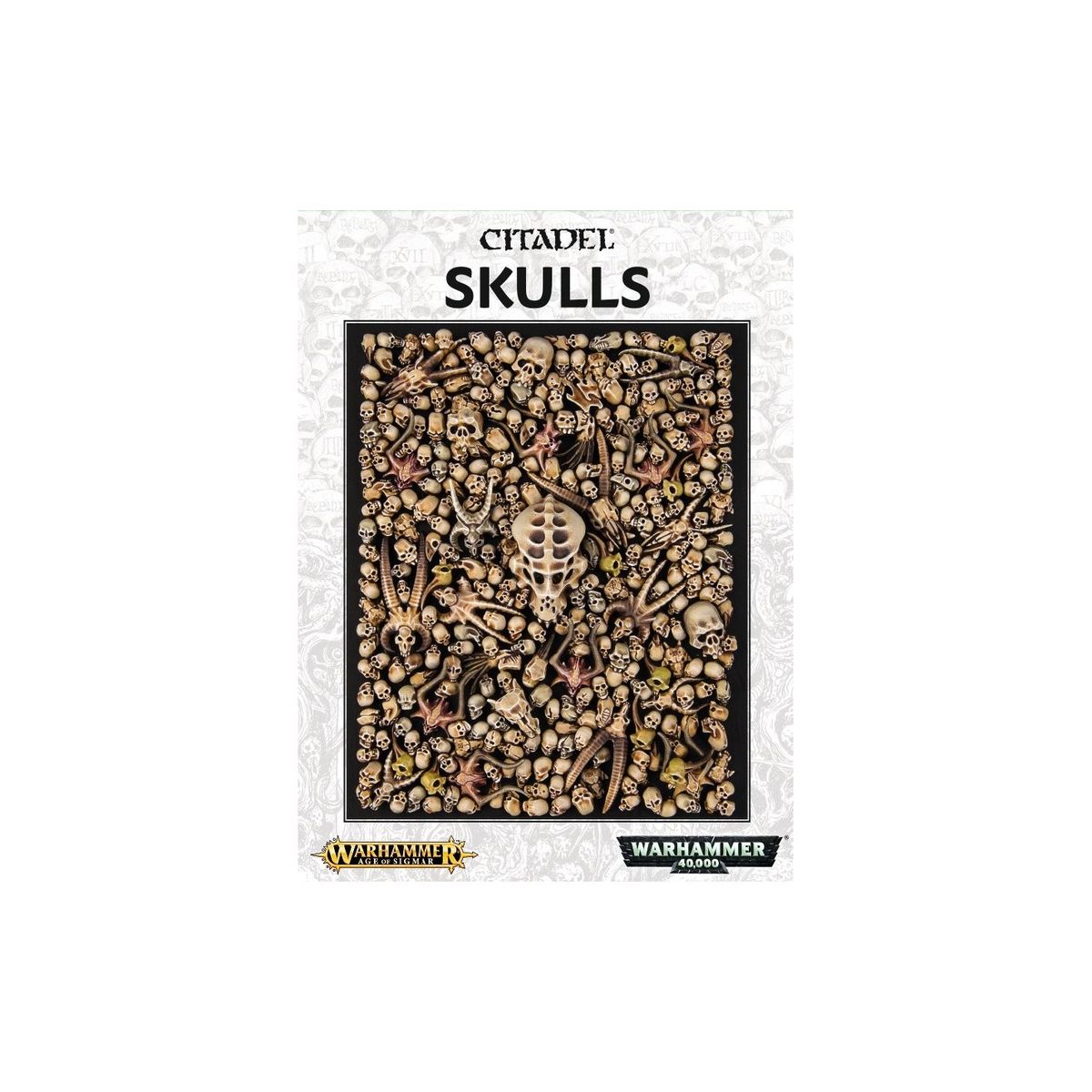 Skulls - Warhammer - Citadel - Games Workshop