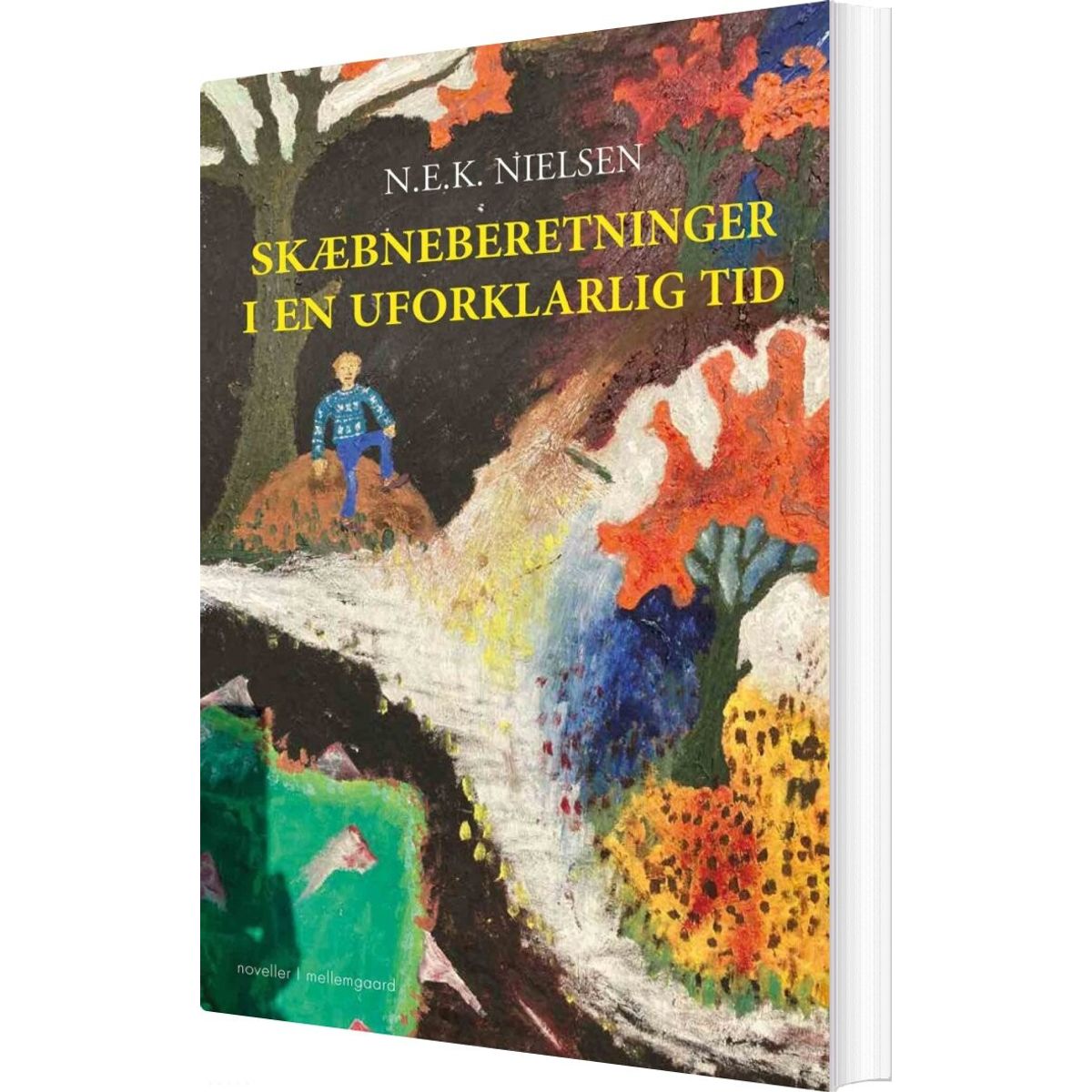 Skæbneberetninger - N.e.k. Nielsen - Bog