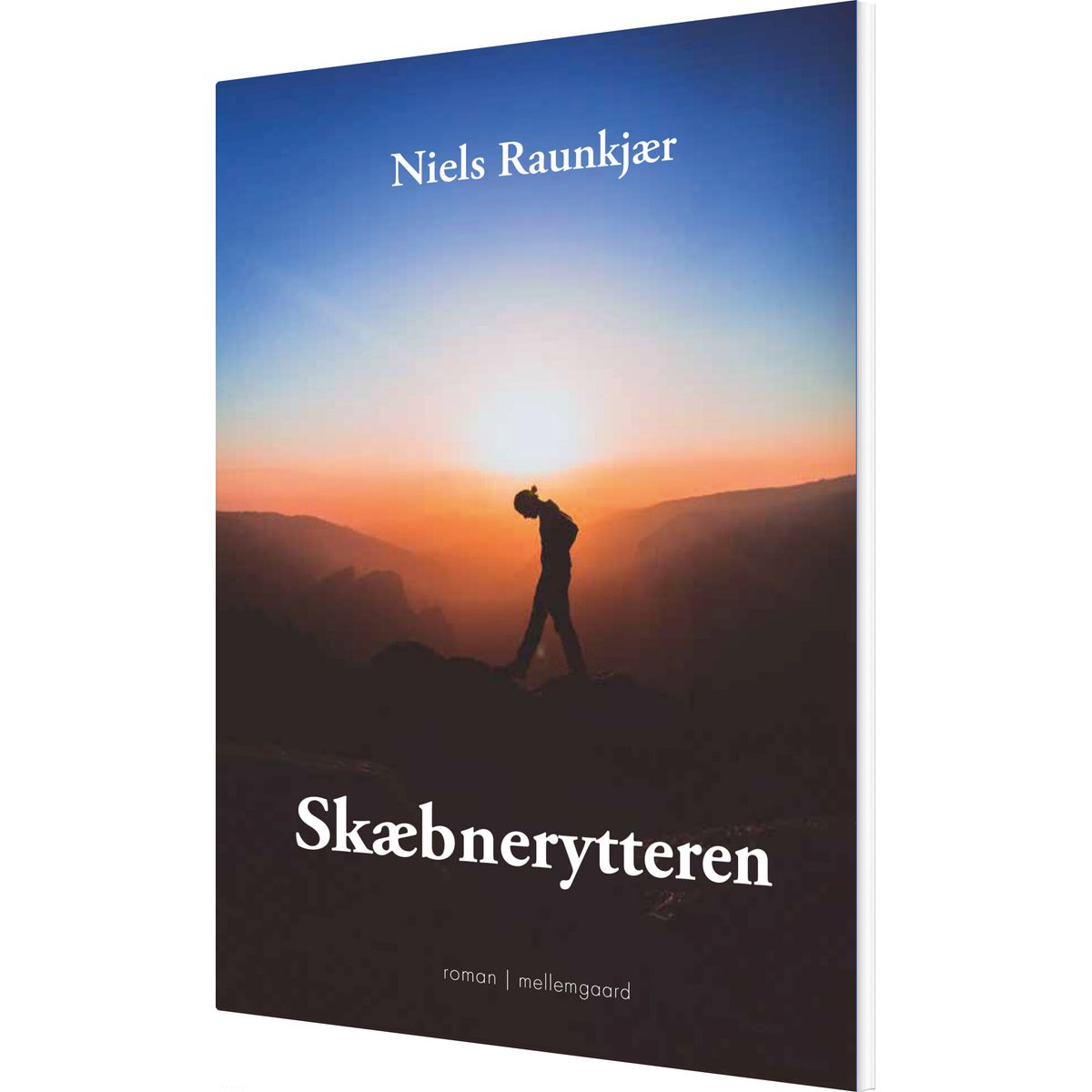 Skæbnerytteren - Niels Raunkjær - Bog