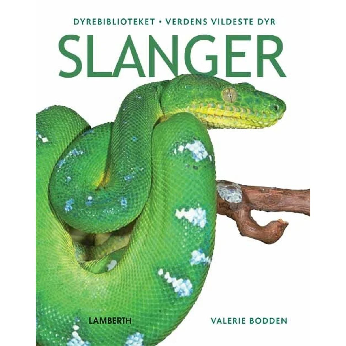 Slanger